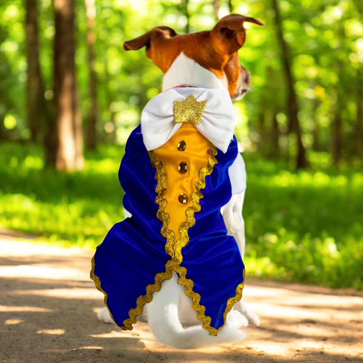 Principe