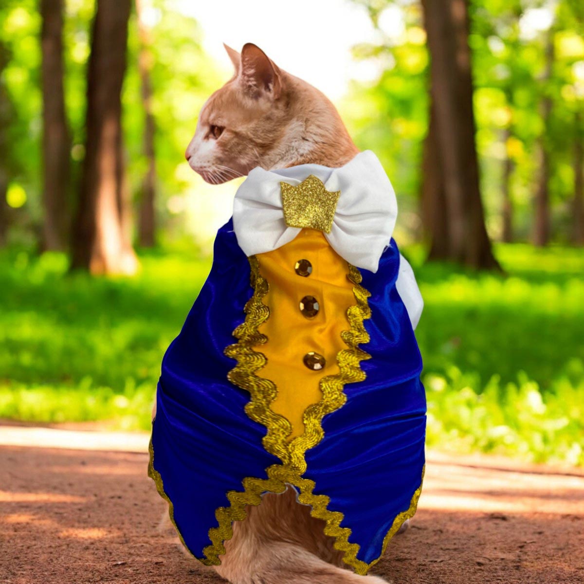 Principe